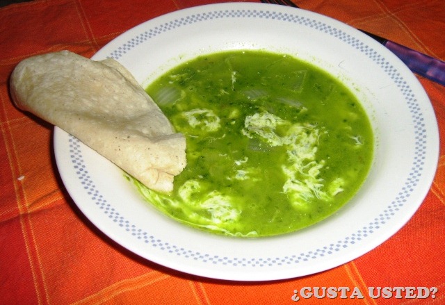 [CALDILLO VERDE DE QUESO CHILE DE QUESO (1).jpg]