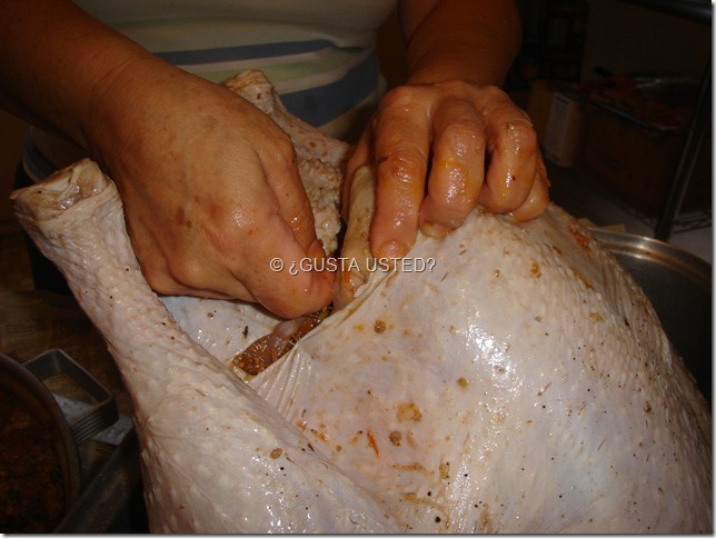 COSIENDO EL PAVO COSIENDO EL PAVO