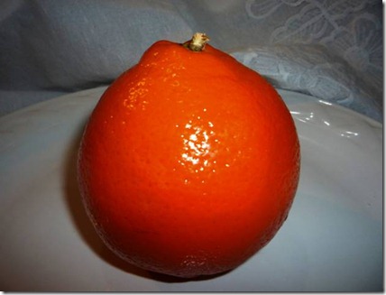 MANDARINA MINEOLA clip_image017