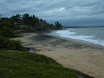P1010019.JPG