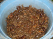 PB140025.JPG
