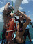 P1020514.JPG