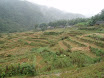 PB140065.JPG