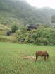 PB140068.JPG
