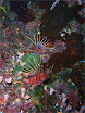 P1000167.JPG