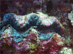P1000179.JPG