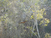 P1010575.JPG