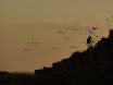 P1010550.JPG