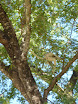 P1010516.JPG