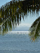 cocotiers a sainte-marie.JPG