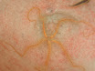 P4240085.JPG