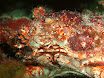 P4240143.JPG