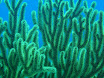 P4240164.JPG