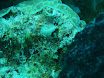 P4240170.JPG