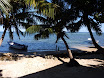 P1010084.JPG
