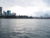 P7300151.JPG