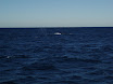 P7310005.JPG