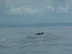 P1010201.JPG