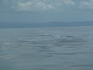 P1010202.JPG