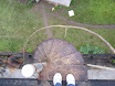 P1000950.JPG