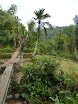 P1010001.JPG