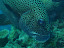 P7120026.JPG