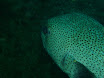 P9210038.JPG