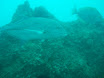 P9210047.JPG