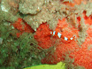 P9220155.JPG