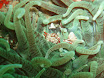 P9220157.JPG