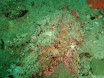 P9220164.JPG