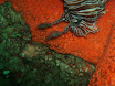 P9220165.JPG