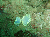 P9220170.JPG