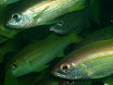 P9230214.JPG