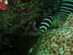 P9220134.JPG