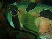 P9220143.JPG
