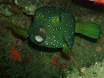 P9220124.JPG