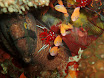 P9220129.JPG