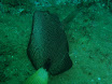 P9220123.JPG