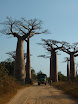 P1010866.JPG