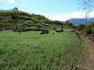 P1000798.JPG