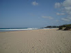 P9090264.JPG