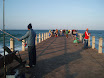 P9130329.JPG