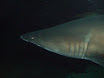P9050091.JPG