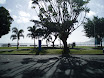 P7150300.JPG
