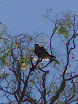 P7050007.JPG