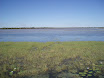 P7050008.JPG