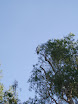P7060064.JPG