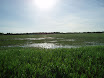 P7060067.JPG