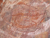 P7050019.JPG
